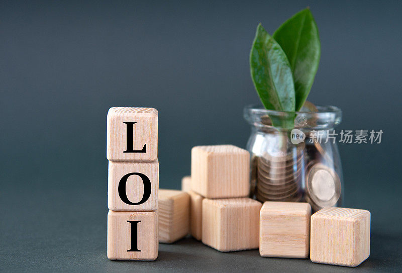 LOI -首字母缩略词木制立方体的背景上的玻璃罐与硬币和绿叶